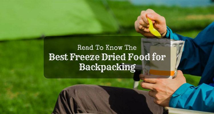 best-freeze-dried-food