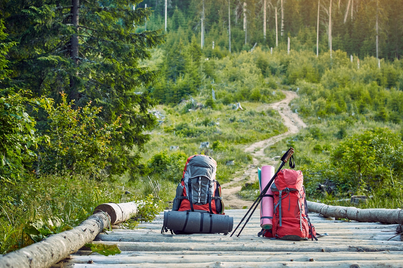 Backpacks in the mountains on a wooden bridge across the river.