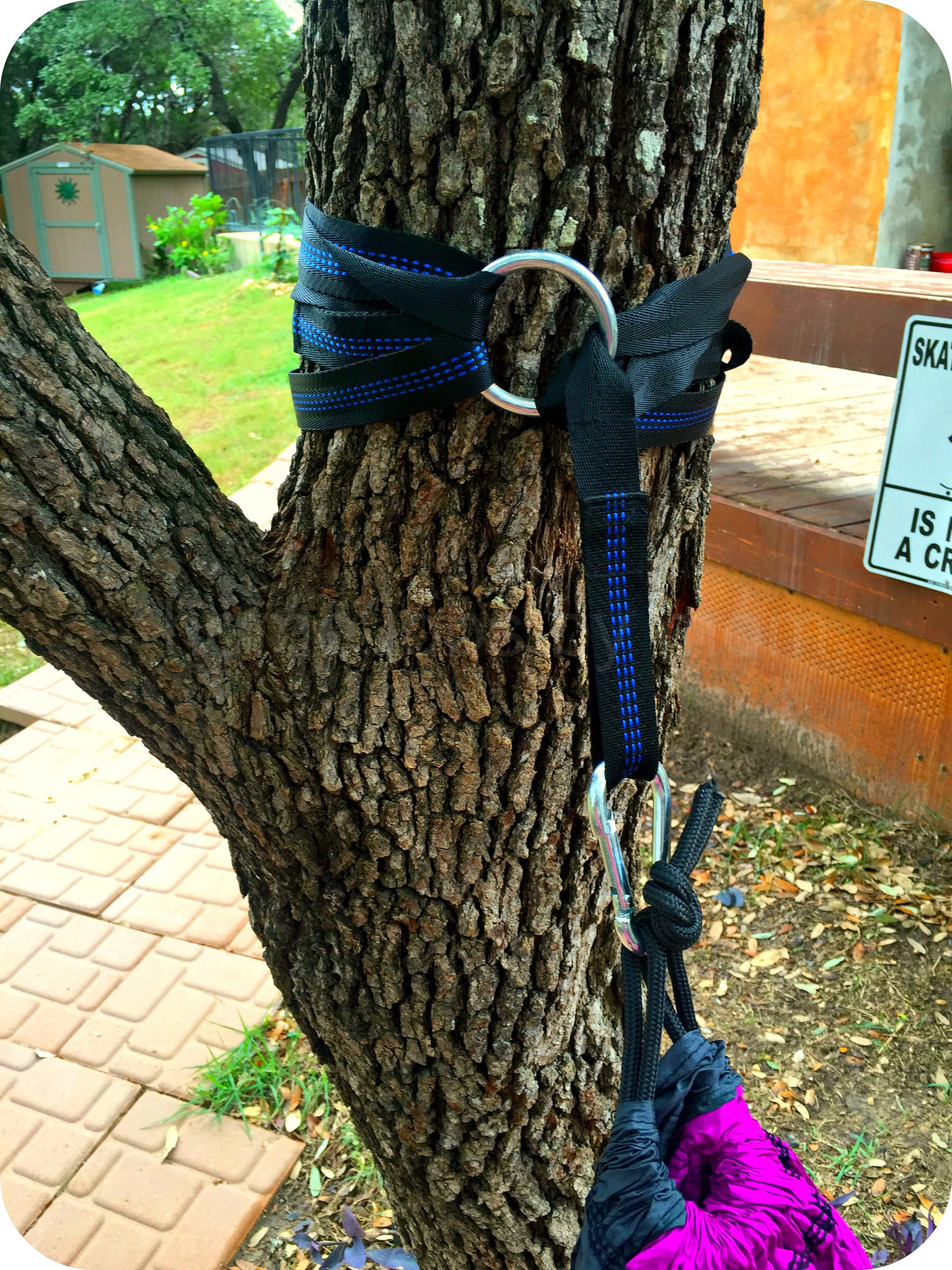 Purple hammock straps