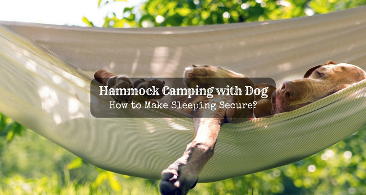 Hammock-Camping-with-Dog