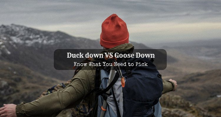 duck down vs goose down