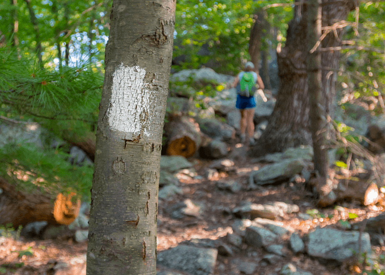 100-Mile Wilderness, Maine