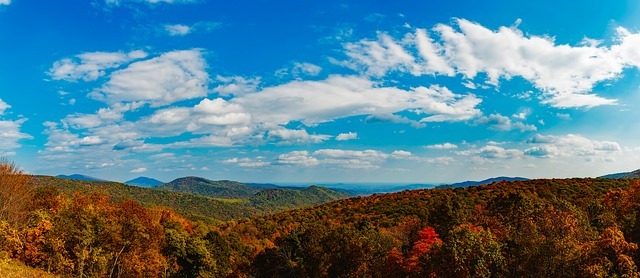 Shenandoah National park (Virginia)