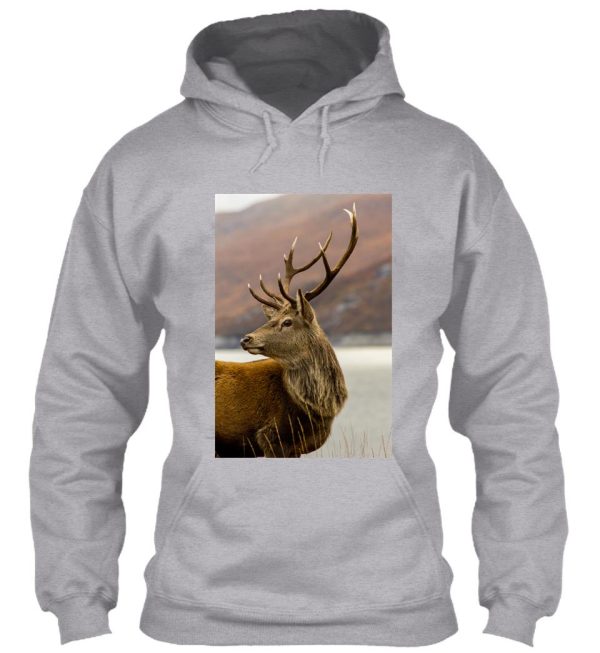 autumnal stag hoodie