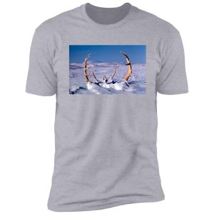 caribou antlers in the snow shirt