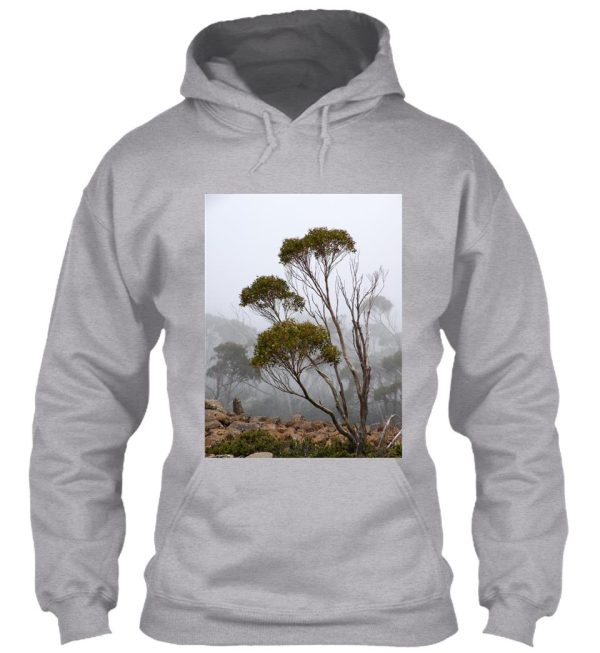 fog mt wellington tasmania australia hoodie