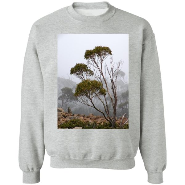 fog mt wellington tasmania australia sweatshirt