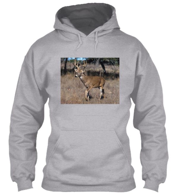 white tail deer hoodie