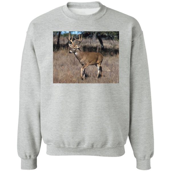 white tail deer sweatshirt