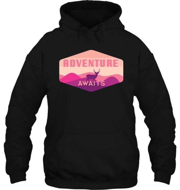 adventure awaits hoodie