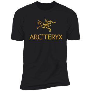 arcteryx shirt