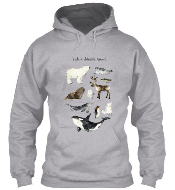 arctic & antarctic animals hoodie