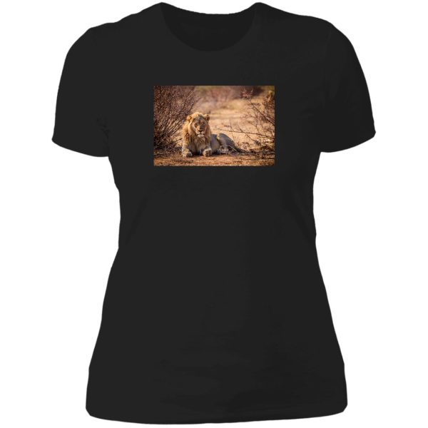 beautiful lion in wilderness lady t-shirt