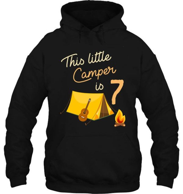 birthday little camper hoodie