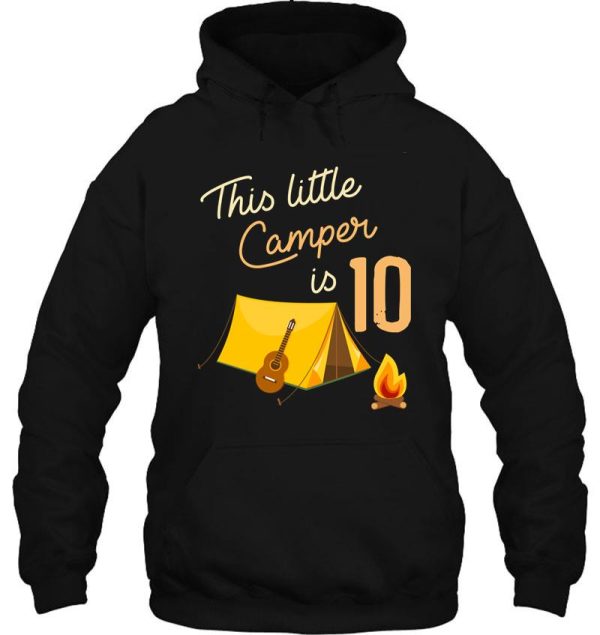 birthday little camper hoodie