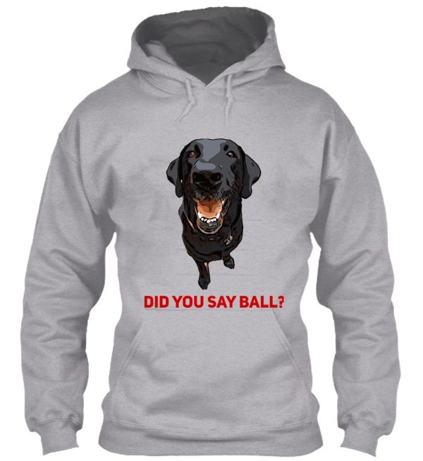 black lab did you say ball hoodie