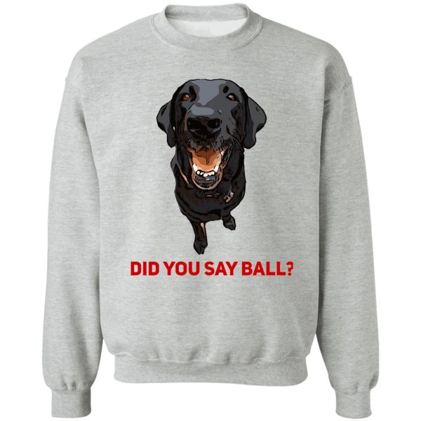 black lab did you say ball sweatshirt