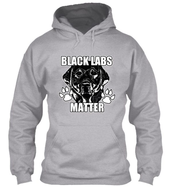 black labs matter 2 hoodie