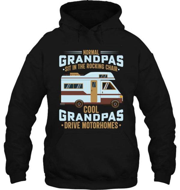 camper camping normal grandpas set in rocking chairs hoodie