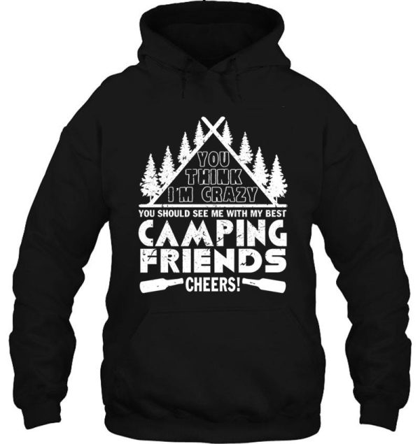 camping friends cheers hoodie