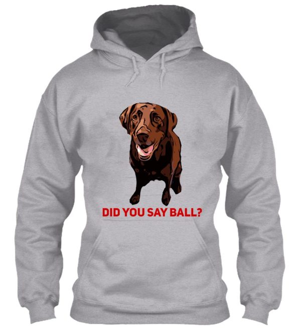 chocolate lab did you say ball hoodie