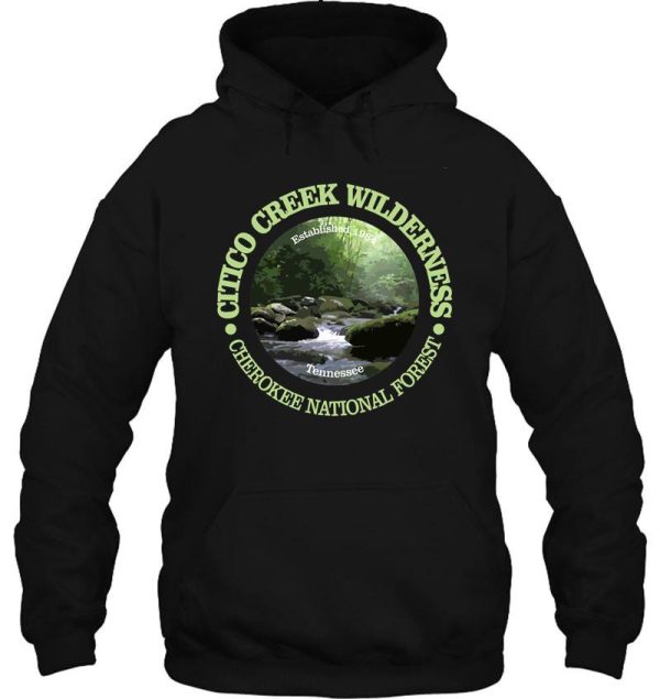 citico creek wilderness (wa) hoodie