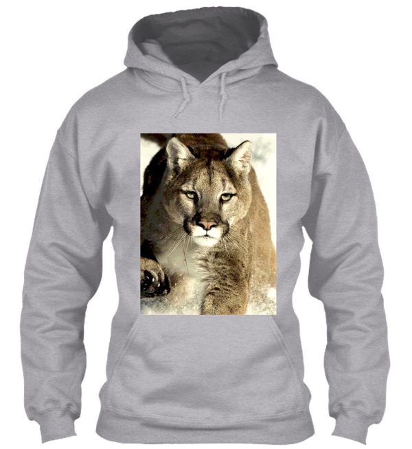 cougar hoodie