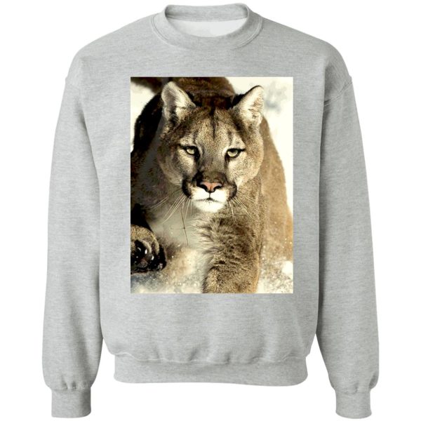 cougar sweatshirt