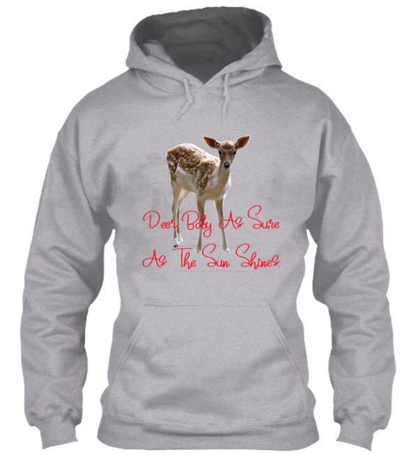 deer baby as sure as the sun shines. hoodie