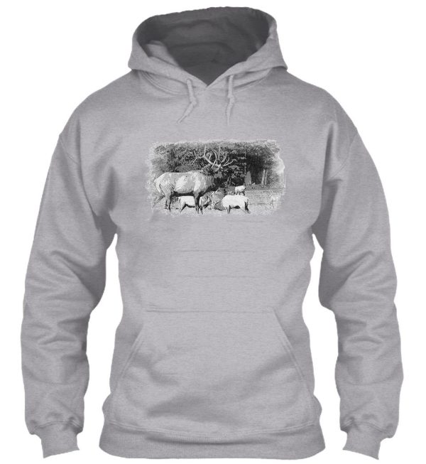 elk trio hoodie