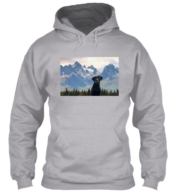 felix in alaska hoodie