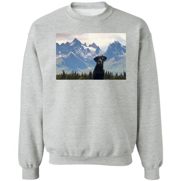 felix in alaska sweatshirt