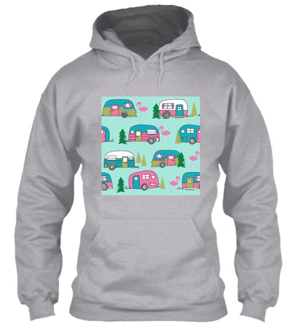 flamingo camping hoodie