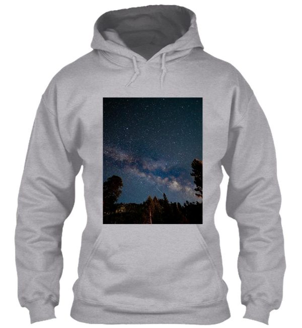forest stars hoodie