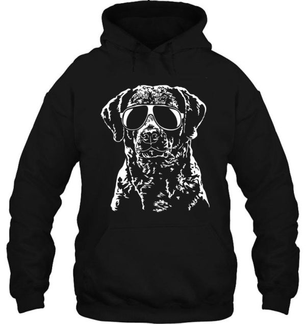 funny chesapeake bay retriever with sunglasses hoodie