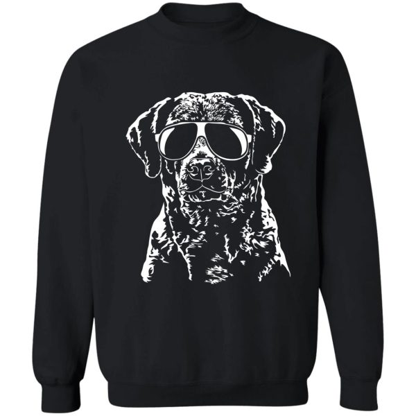 funny chesapeake bay retriever with sunglasses sweatshirt