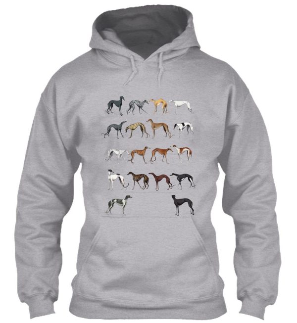 galgo colours hoodie