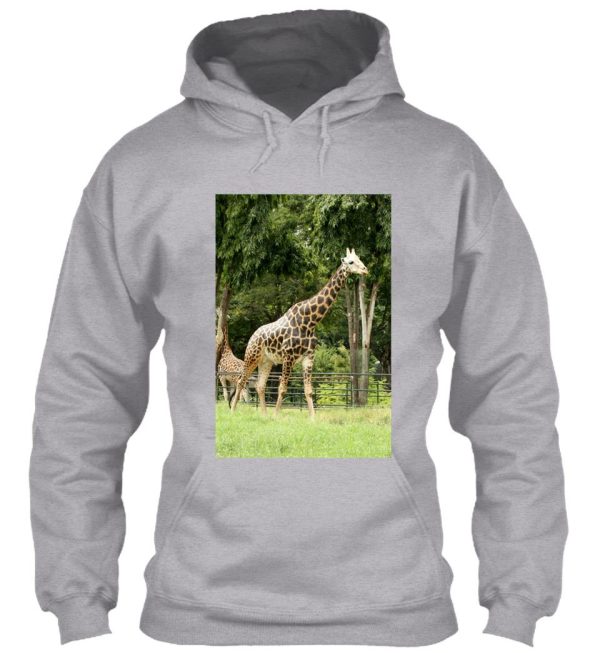 giraffe in the wilderness hoodie