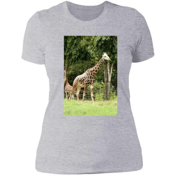 giraffe in the wilderness lady t-shirt