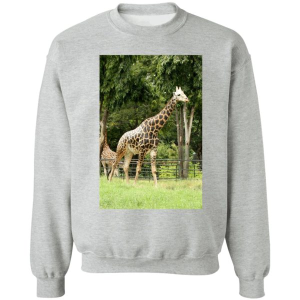 giraffe in the wilderness sweatshirt