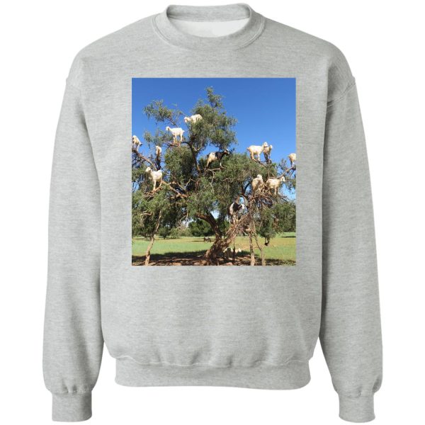 goats in trees sweatshirt