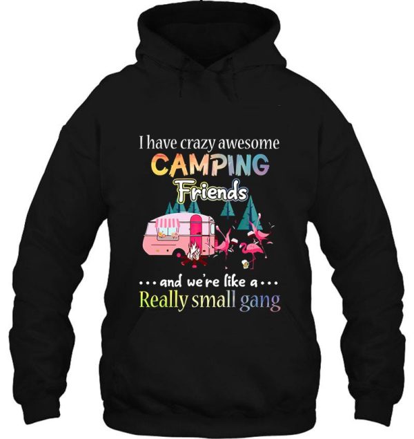i have crazy awesome camping friends we are really small gang hoodie