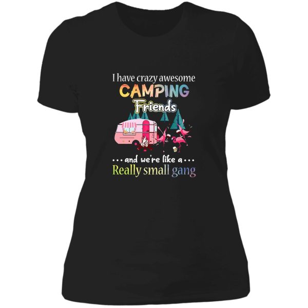 i have crazy awesome camping friends we are really small gang lady t-shirt