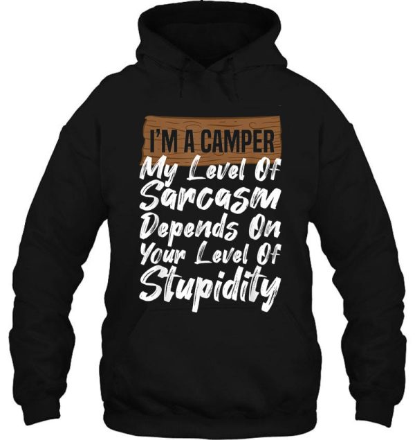 im a camper camping hoodie