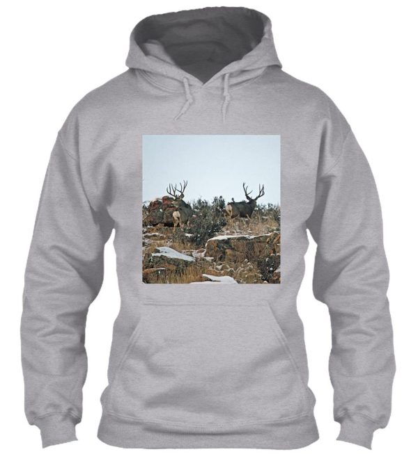 mule deer bucks first snow hoodie