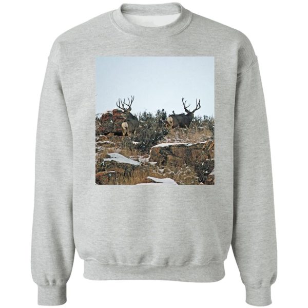 mule deer bucks first snow sweatshirt