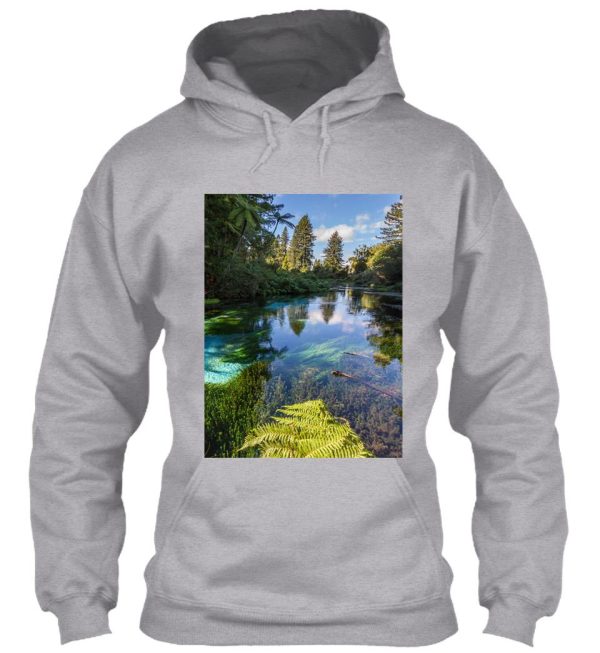 nature river and wilderness - wildernessscenery hoodie