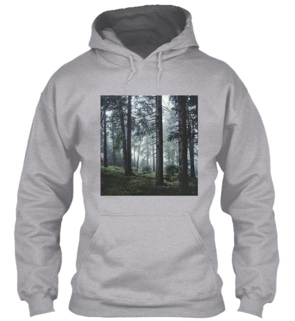 path vibes hoodie