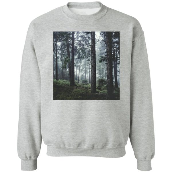 path vibes sweatshirt