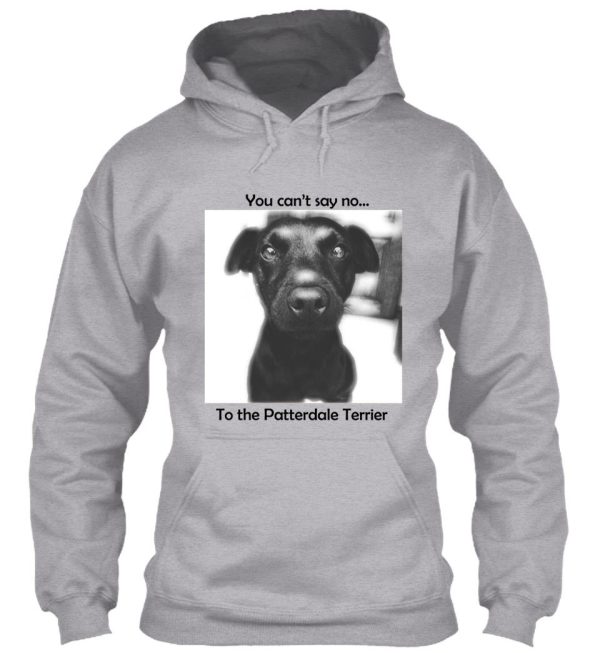 patterdale terrier - cant say hoodie